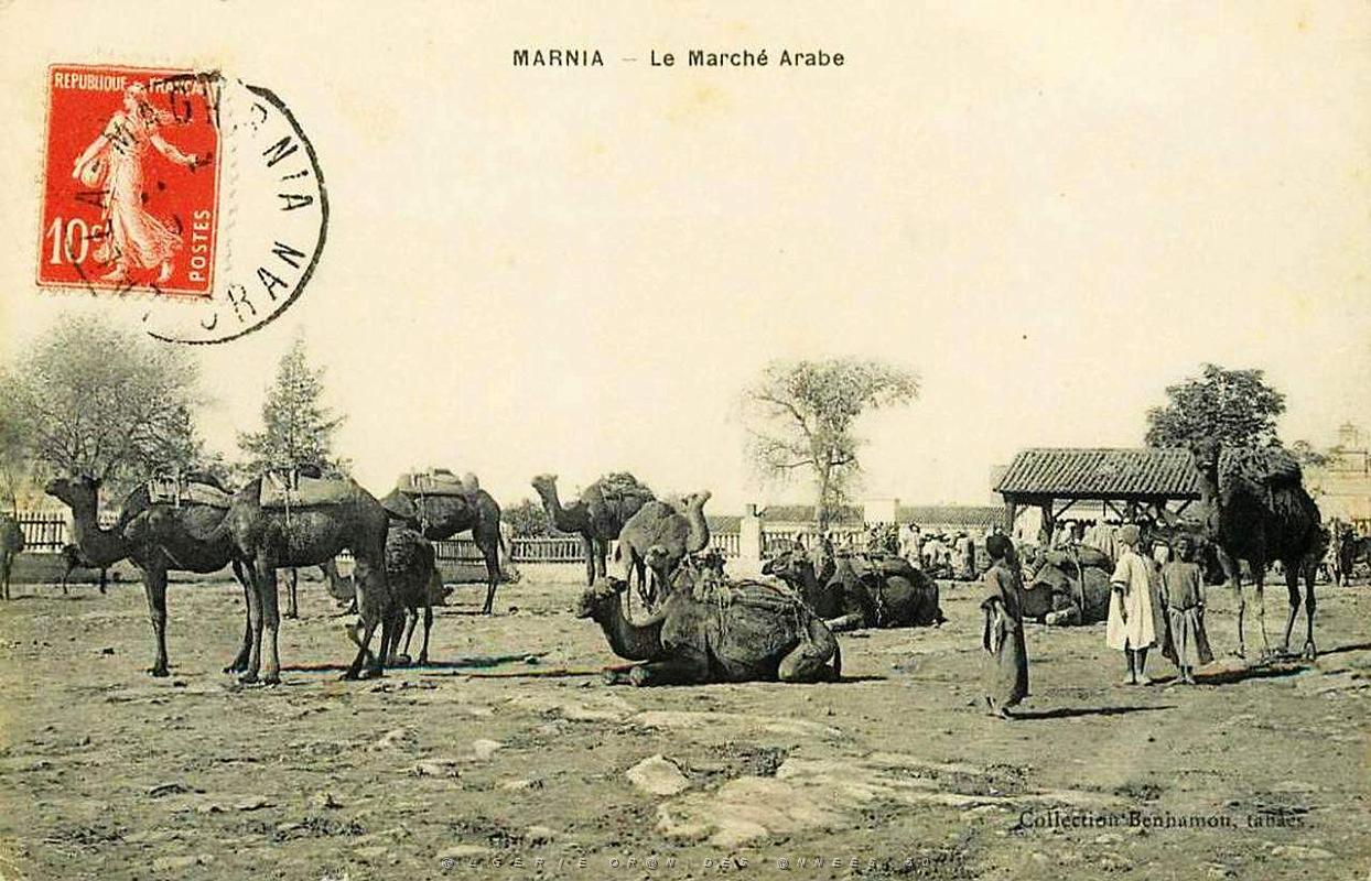 BIVEN Georges - 145- Marnia.jpg